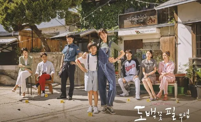 Small Town Korean Dramas: When the Camellia Blooms