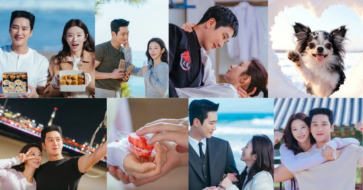 Spring Fever K-Drama Plot Overview​
