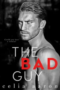 Standalone Dark Romance Books: The Bad Guy by Celia Aaron