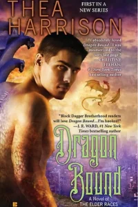 Top Paranormal Romance Books: Dragon Bound by Thea Harrison